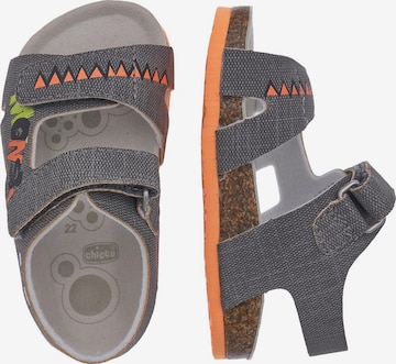 CHICCO Sandals & Slippers 'Francisco' in Grey
