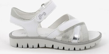 PRIMIGI Sandals & Slippers 'Pax' in White