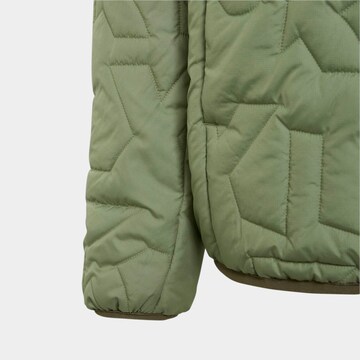 ADIDAS TERREX Outdoor jacket in Green
