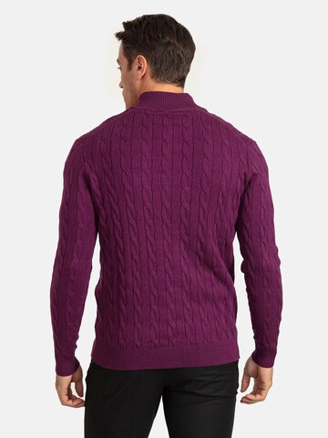 Jacey Quinn Sweater in Purple