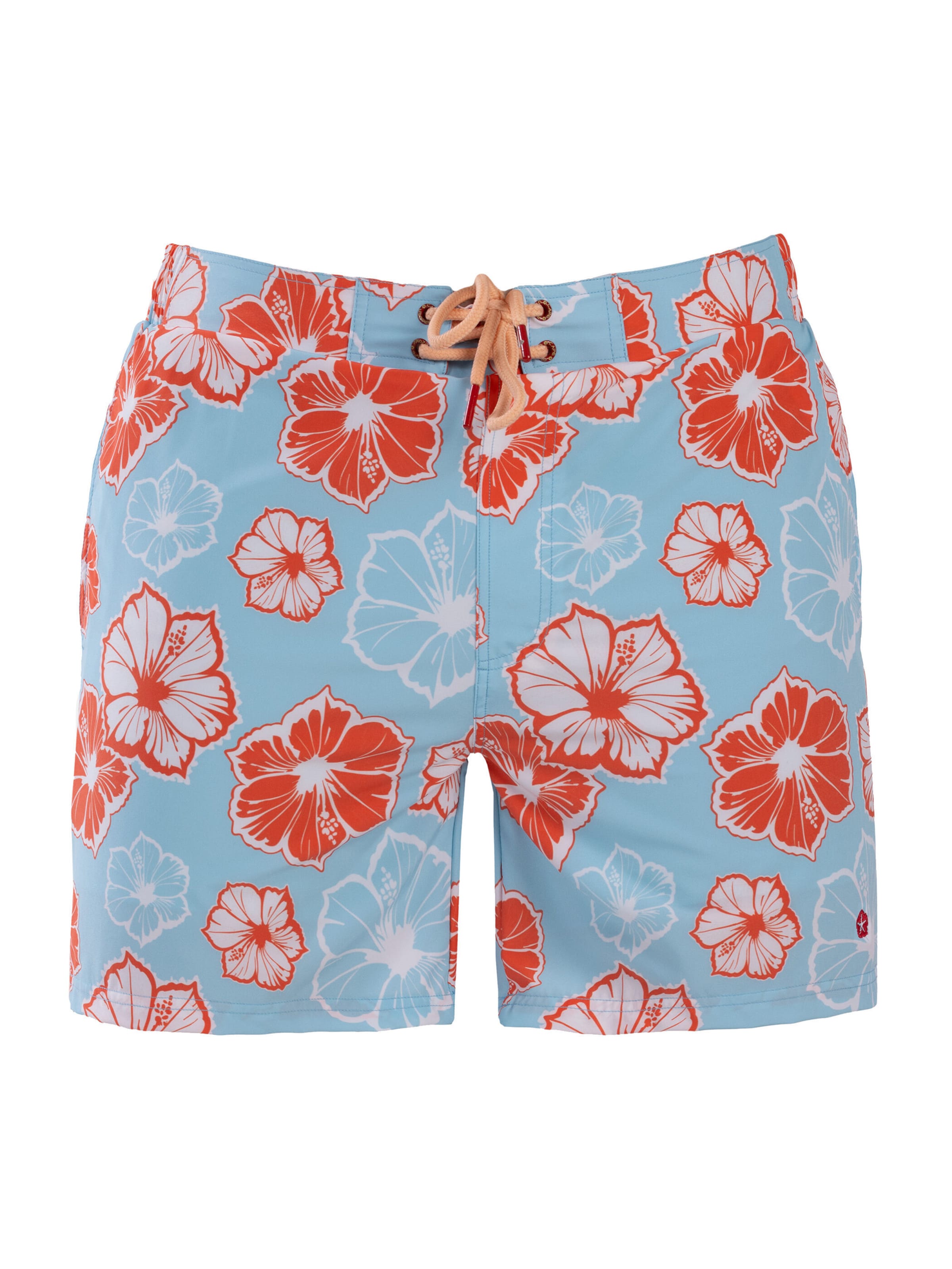 Frozen Cape Sportzwembroek in Blauw: voorkant