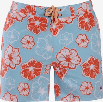 Maillot de bain de sport Frozen Cape en bleu : devant