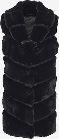 juoda BUFFALO Liemenė: priekis