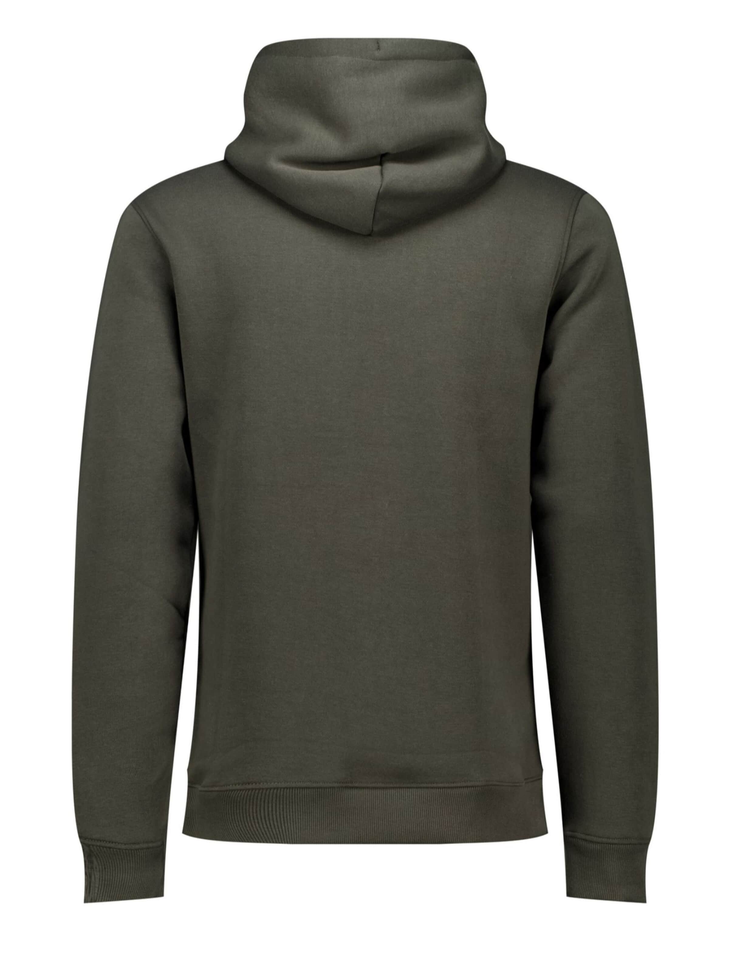 Deeluxe Sweatshirt‌‌‌‌‌‌‌ in Grün