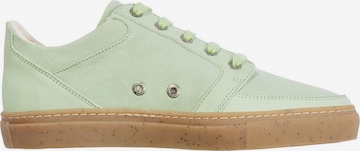 VAUDE Sneakers 'Redmont' in Green