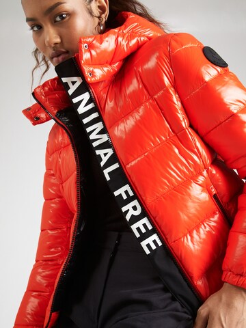 SAVE THE DUCK Between-Season Jacket 'COSMARY' in Red