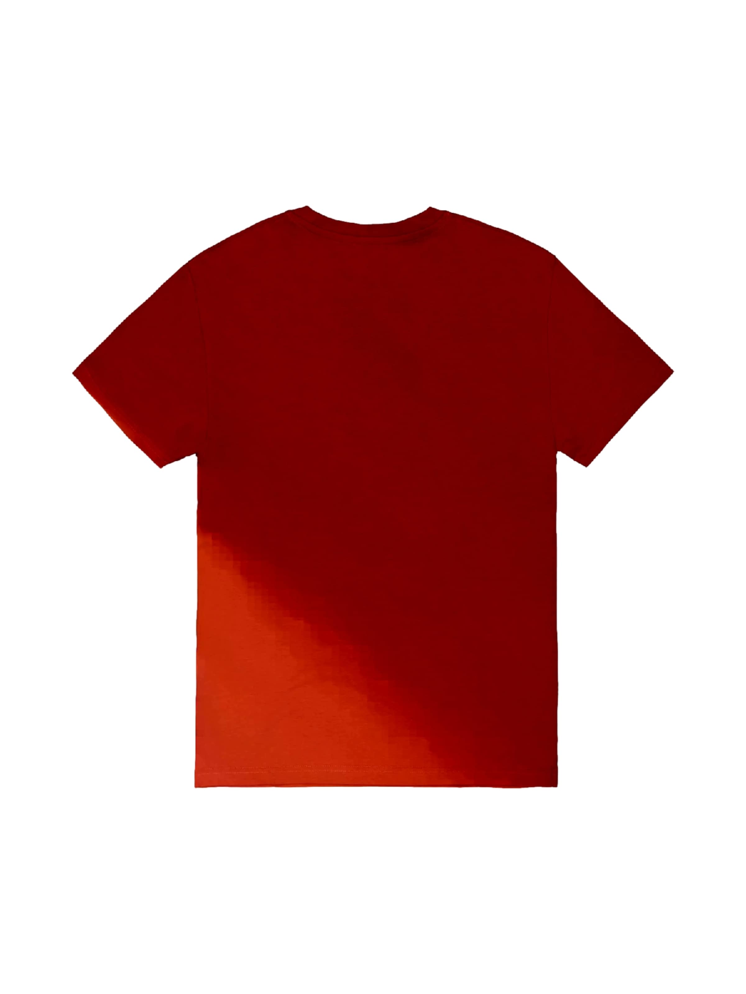 ALPHA INDUSTRIES Shirt in Rood