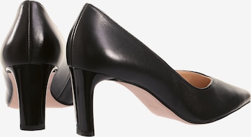 Högl Pumps 'Margot' in Black