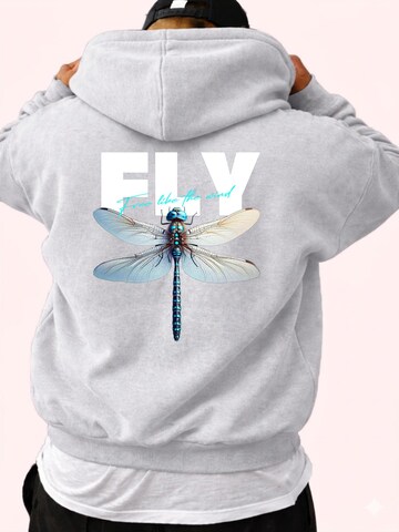RMK Sweatshirt 'Fly Libelle'‌‌‌‌‌‌‌‌‌‌ in Grau