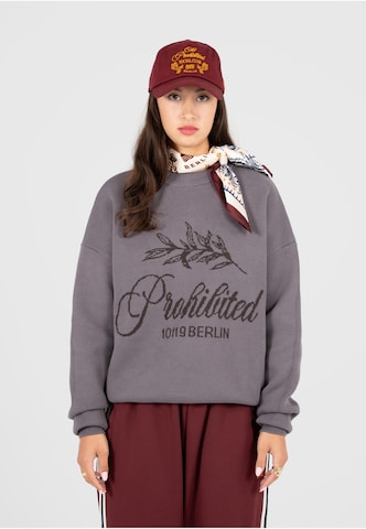 Prohibited Pullover in Grau