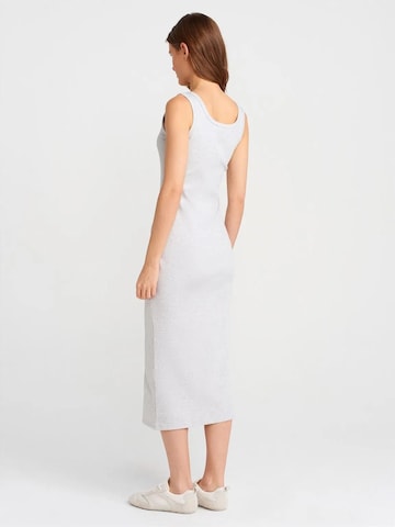 Robe Dilvin en gris