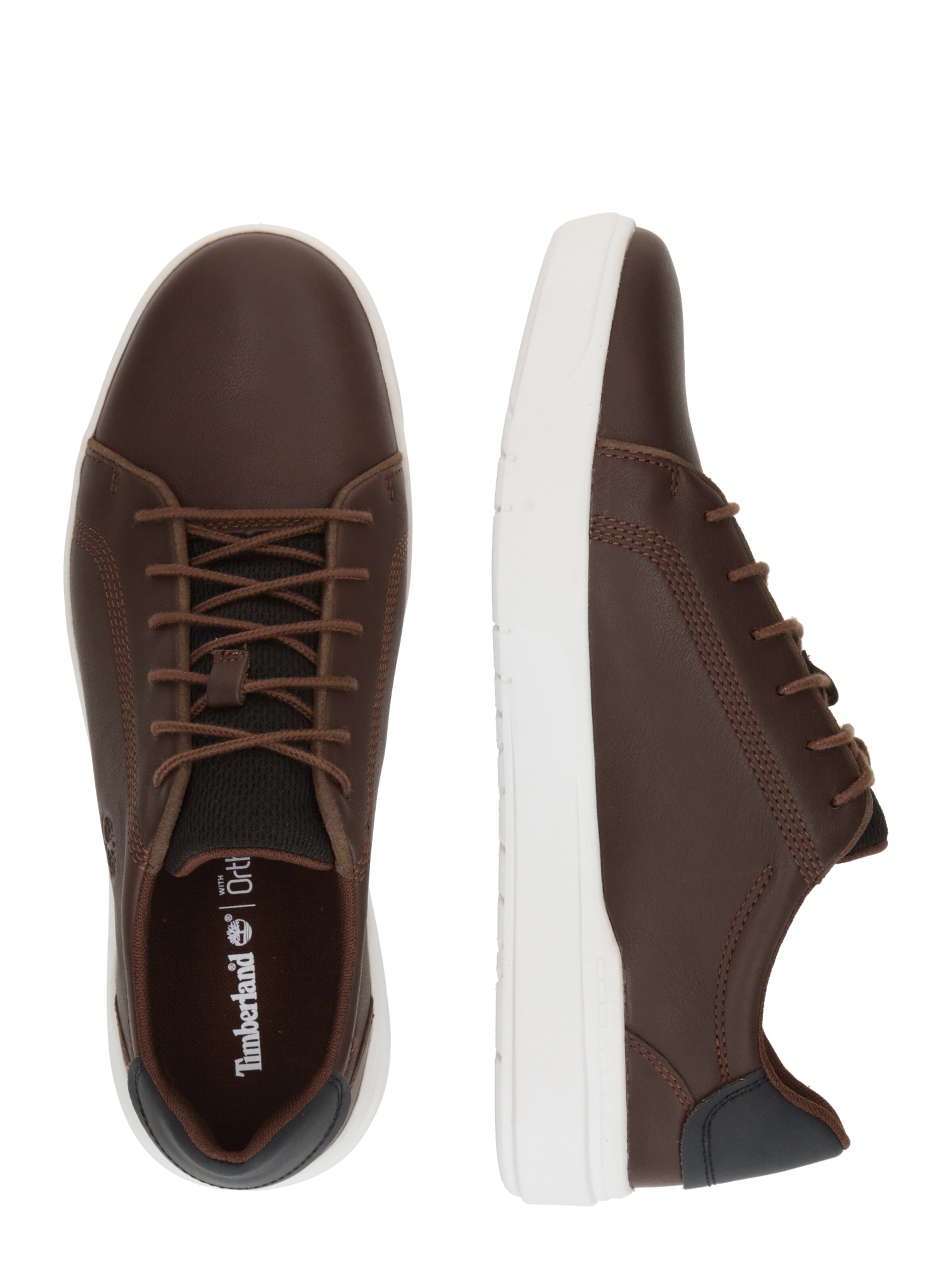 Baskets basses TIMBERLAND en marron