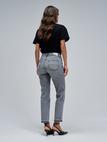 Regular Jean Salsa Jeans en gris