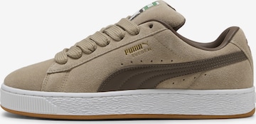 Sneaker bassa 'Suede XL' di PUMA in beige: frontale