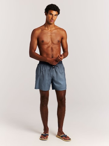 PROTEST Board Shorts 'PRTNorthaw' in Blue: front