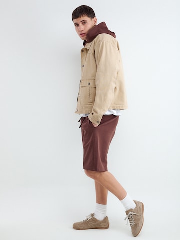 BALMOHK Avar lõige Püksid, värv pruun