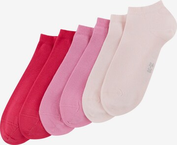 TOM TAILOR Socks in Pink: front
