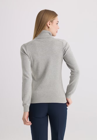 Pull-over Felix Hardy en gris