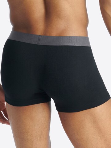 Boxers ' Active Flex Cotton Body ' ADIDAS SPORTSWEAR en mélange de couleurs