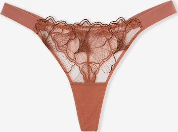 ETAM String 'Prelude' in Bronze: Vorderseite