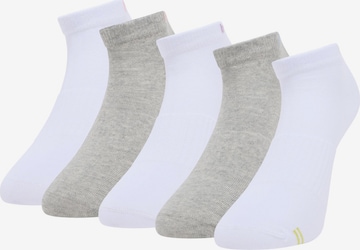Chaussettes 'Dickson' Bruno Banani en mélange de couleurs : devant