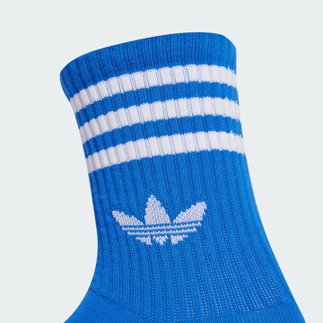 ADIDAS ORIGINALS Sokken in Blauw
