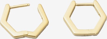 Boucles d'oreilles fejn en or : devant