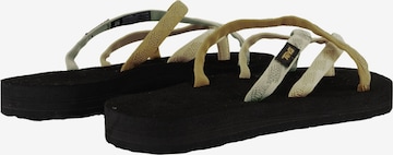 TEVA T-Bar Sandals 'Olowahu' in Mixed colors