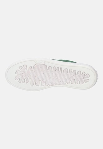JOSEF SEIBEL Sneakers hoog 'Wilma 03' in Groen