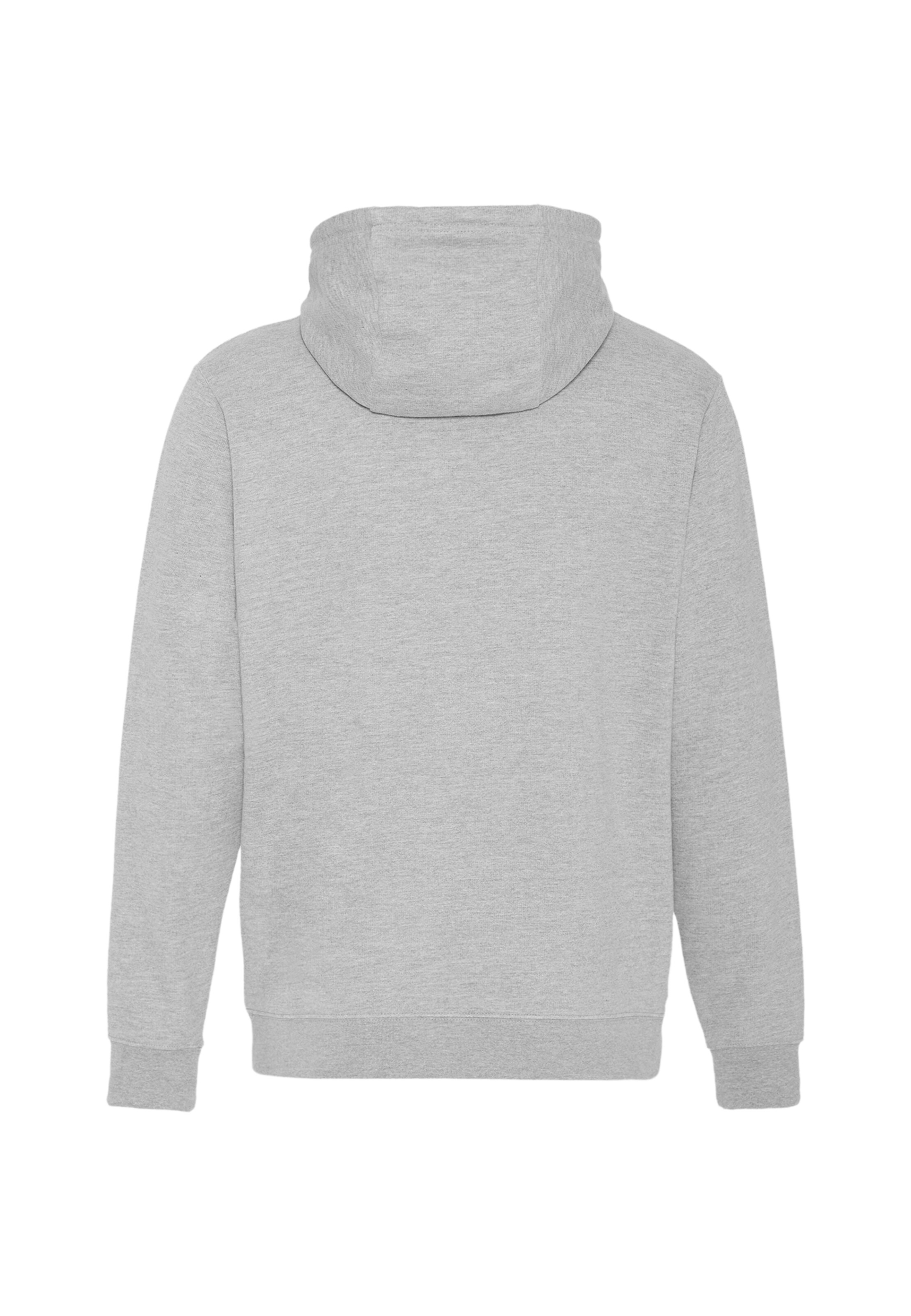 Oldskull Zip-Up Hoodie 'Basic Osk Logo' in Grey