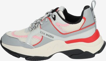 STEVE MADDEN Sneaker low in Grau