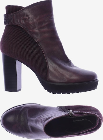 GERRY WEBER Dress Boots in 36 in Purple: front