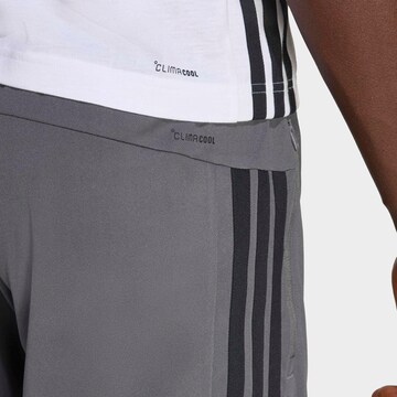 ADIDAS PERFORMANCE Regular Shorts in Grau