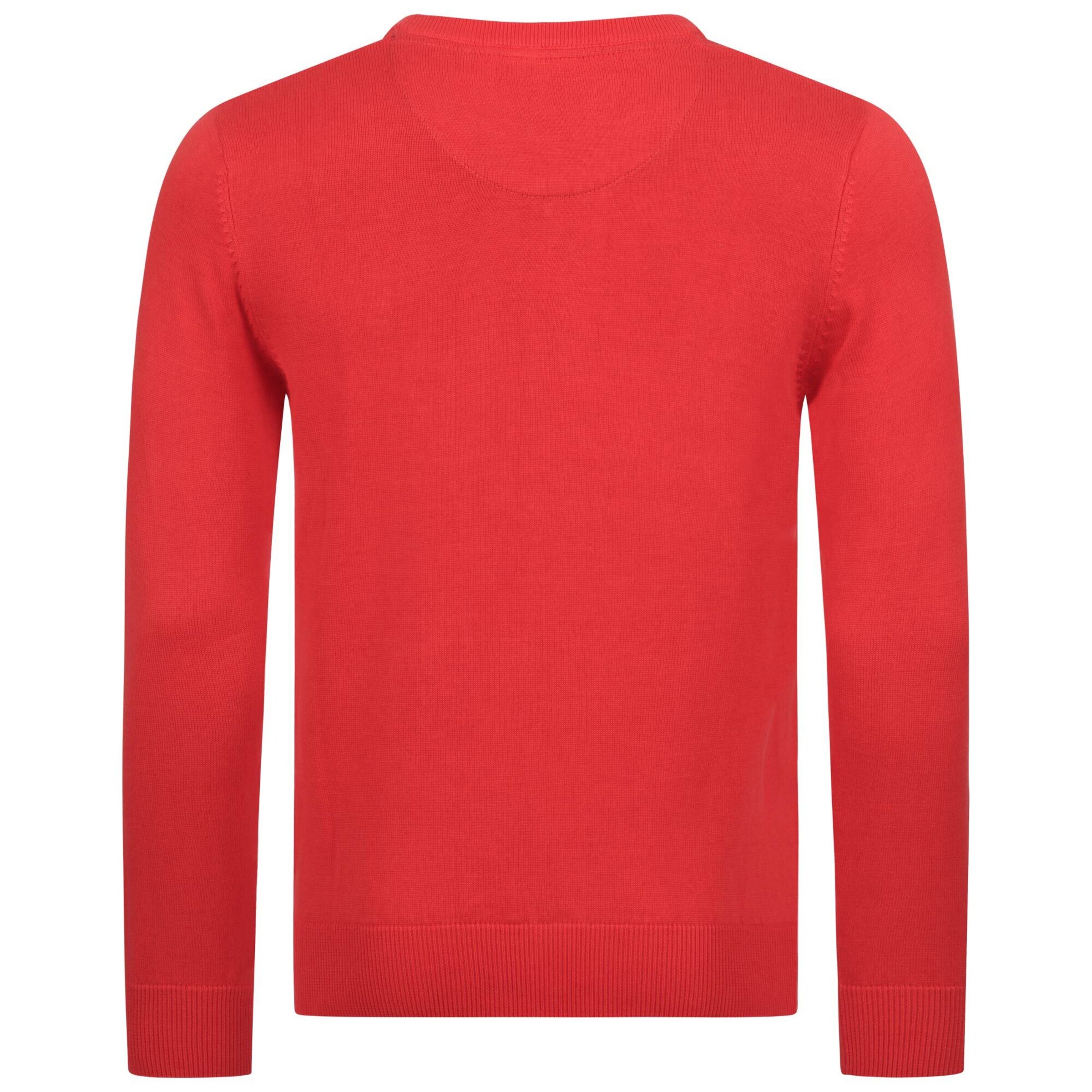 U.S. POLO ASSN. Pullover in Rot