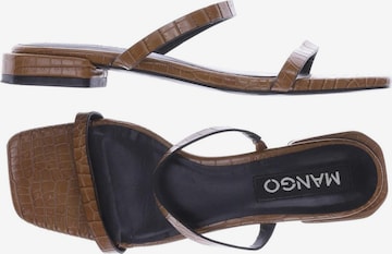 MANGO Sandals & High-Heeled Sandals in 38 in Brown: front
