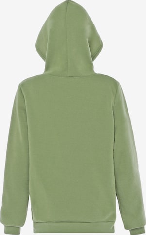 Colina Zip-Up Hoodie in Green