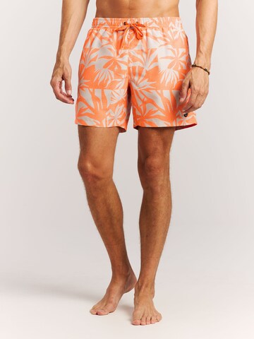 PROTEST Board Shorts 'PRTPanther' in Purple