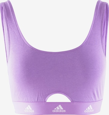 Bustier Soutien-gorge ' SCOOP BRALETTE ' ADIDAS SPORTSWEAR en violet : devant