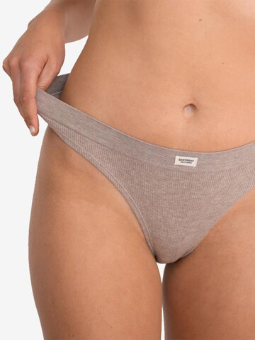 Sam Friday Panty in Beige