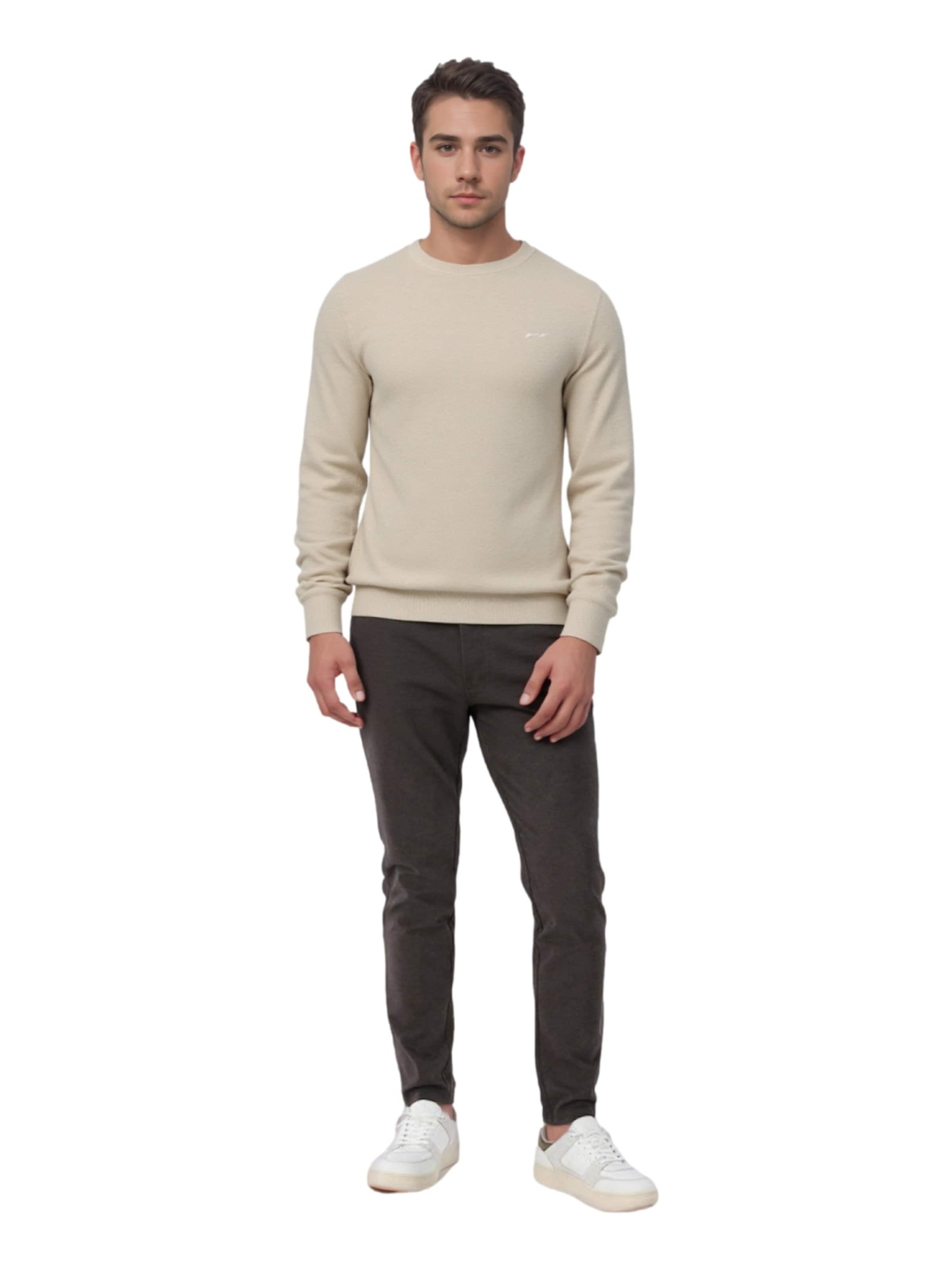 GANT Sweater in Beige