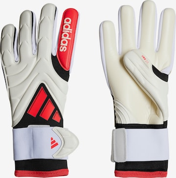 ADIDAS PERFORMANCE Sporthandschuhe 'Copa Pro' in Weiß: Vorderseite