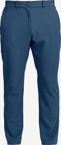 Backtee Tapered Pants in Blue: front