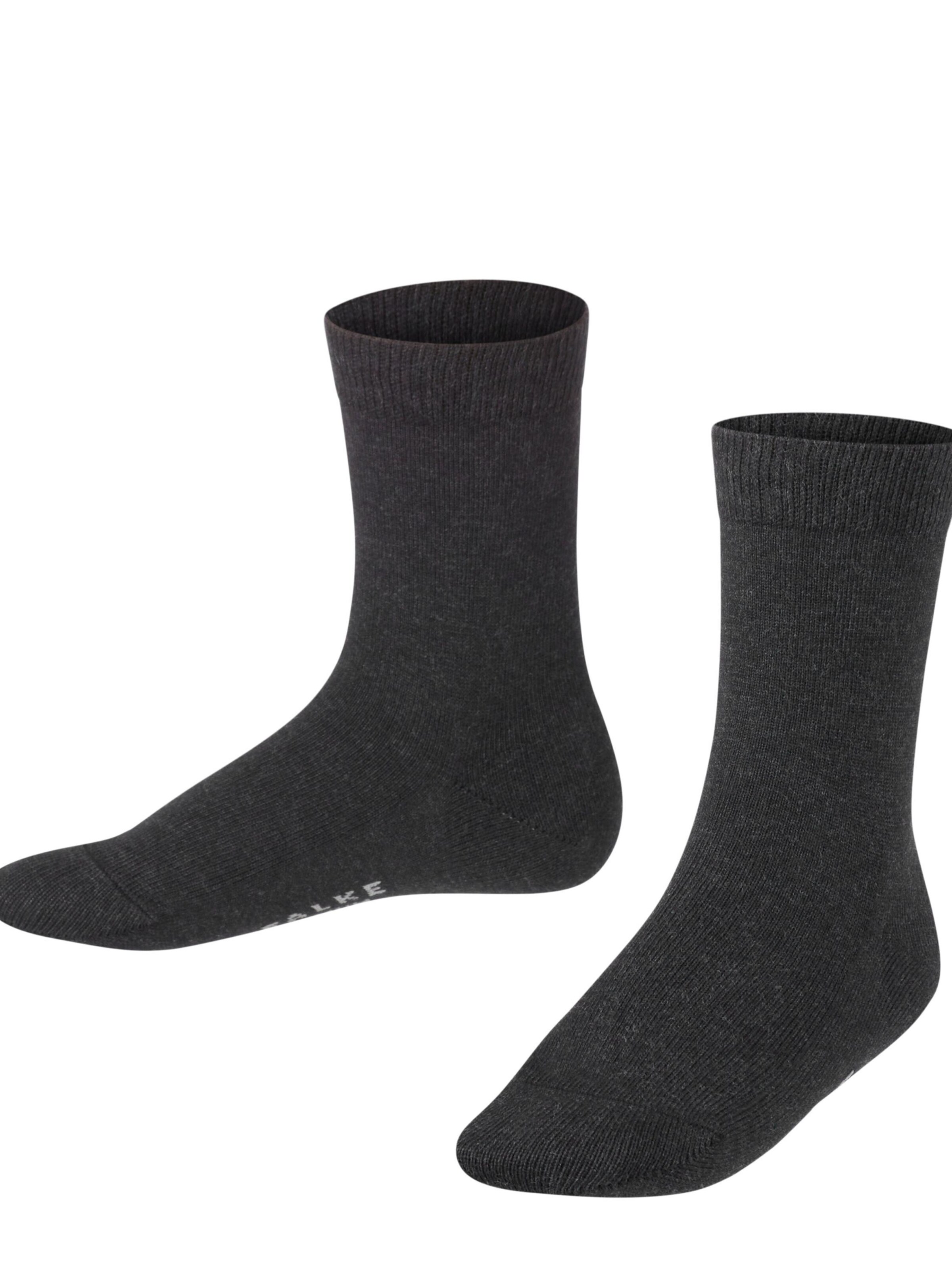 FALKE Socks 'Family' in Grey: front