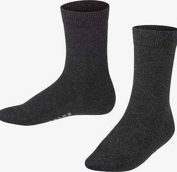FALKE Socks 'Family' in Grey: front