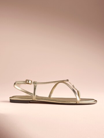 B by Ted Baker Zehentrenner in Gold
