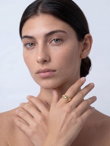 Akitsune Ring 'Passion' in Gold