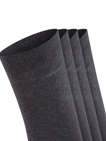 ESPRIT Socken 'Solid 4-Pack'‌ in Grau