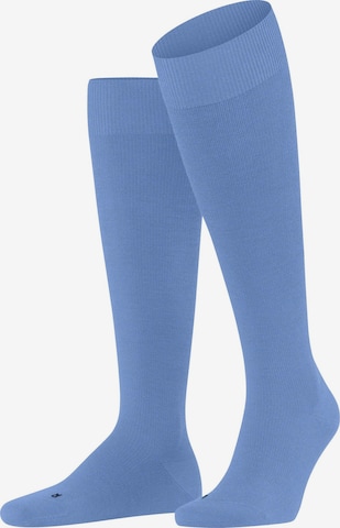 FALKE Knee High Socks 'Energizing Wool' in Blue: front