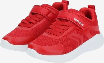 Baskets GEOX en rouge