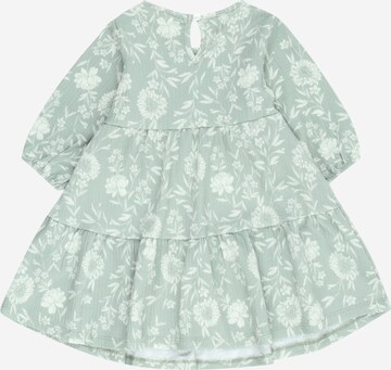 Robe River Island en vert